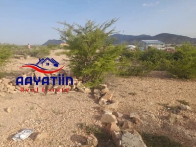JAGO IIB AH – BORAMA