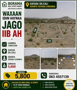 Prime Land in Borama