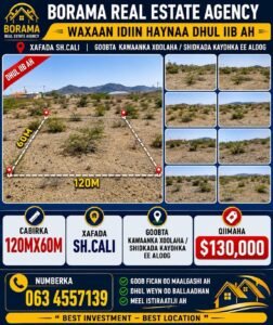 Prime Commercial Land in Borama
