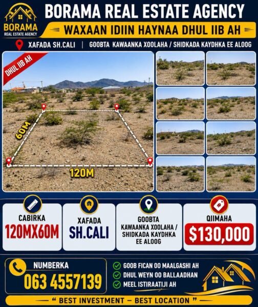 Prime Commercial Land in Borama