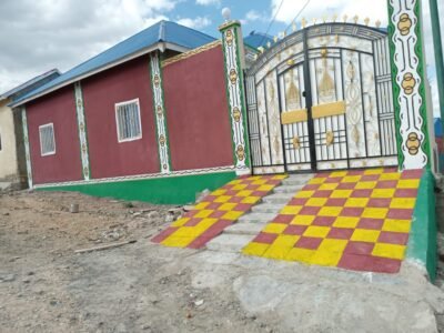Qalab Dhismi oo casriya